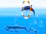 Online oyun Dolphin Show