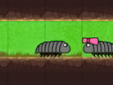 Online oyun Pillbug Run