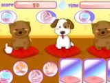 Online oyun Puppies Salon