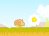 Online oyun Run Run Hamster