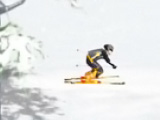 Online oyun Ski Sim