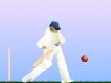 Online oyun Top Spinner Cricket