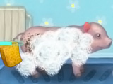 Online oyun Clean Little Piggy