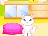 Online oyun Cute Kitten