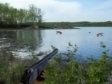 Duck Shooter