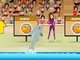 My Dolphin Show