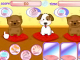 Puppies Salon