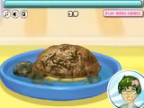 Online oyun Turtle Care